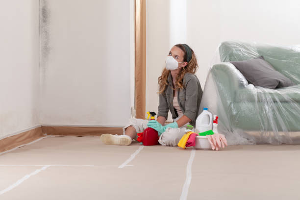 Reliable Mold Remediation contractor in Magnolia, NC by Cheap Mold Removal